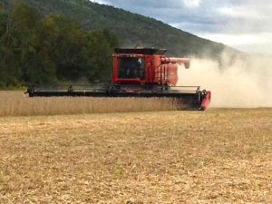 Farming equipment on a field. 