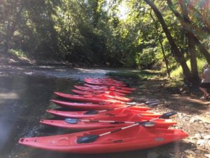 row of white canoes on bank of river