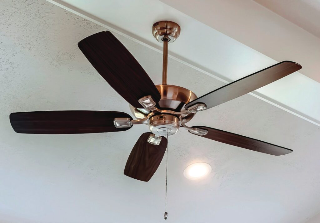 Ceiling fan